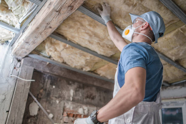 Best Specialized Insulation Services in Perry, OH